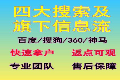 某品牌SEM广告投放的ROI提升案例